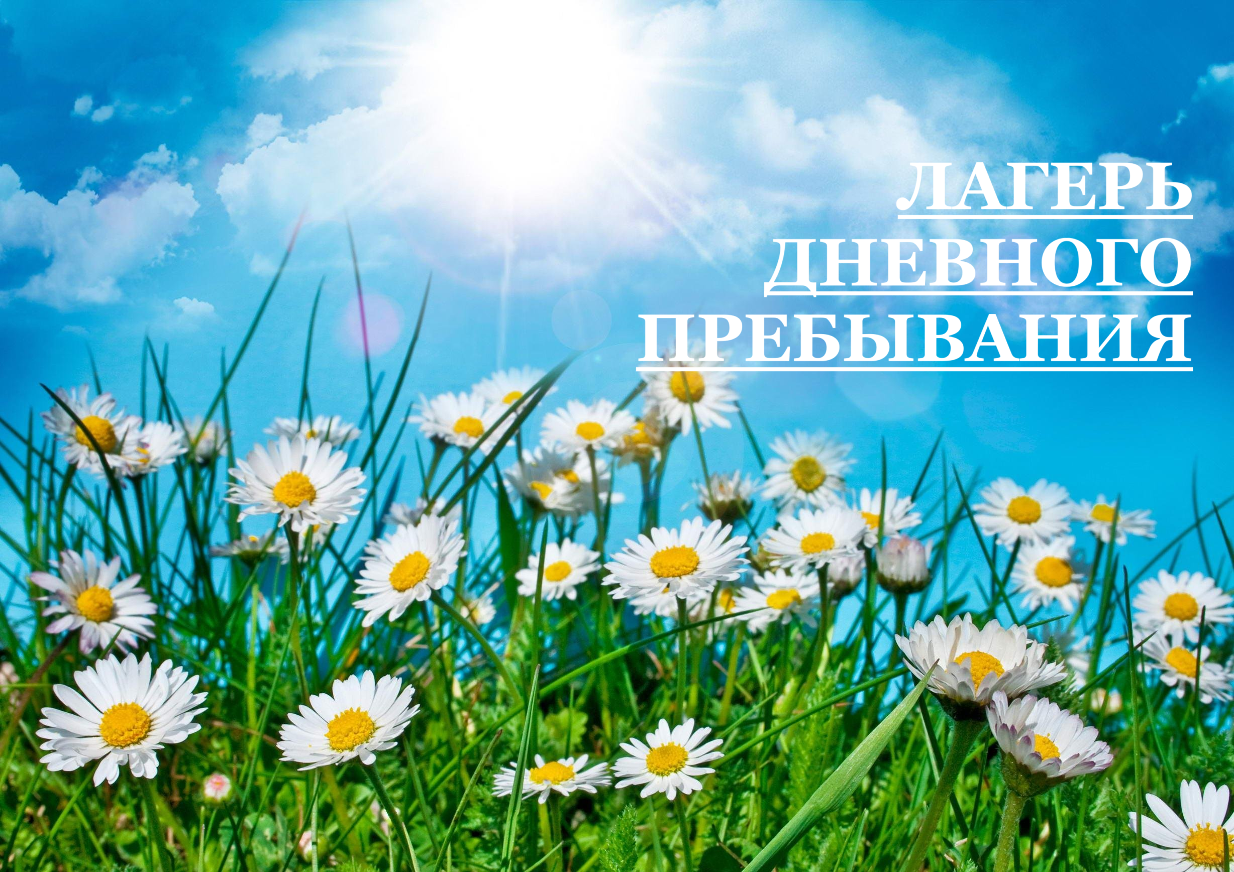 Изображения.